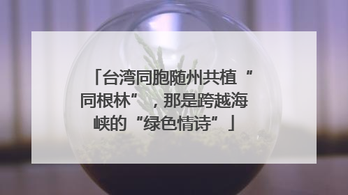 台湾同胞随州共植“同根林”，那是跨越海峡的“绿色情诗”