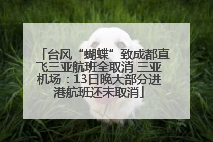 台风“蝴蝶”致成都直飞三亚航班全取消 三亚机场：13日晚大部分进港航班还未取消