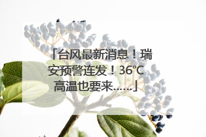 台风最新消息！瑞安预警连发！36℃高温也要来……
