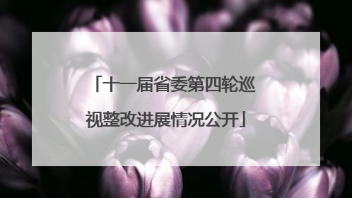 十一届省委第四轮巡视整改进展情况公开
