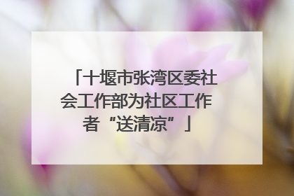 十堰市张湾区委社会工作部为社区工作者“送清凉”