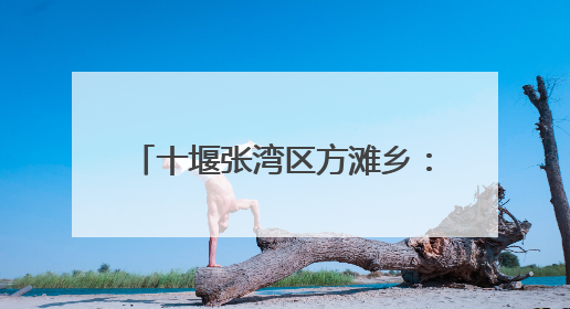 十堰张湾区方滩乡：迎“篮”而上 乡村篮球点燃体育热潮