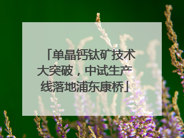 单晶钙钛矿技术大突破，中试生产线落地浦东康桥
