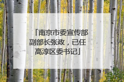 南京市委宣传部副部长张政，已任高淳区委书记