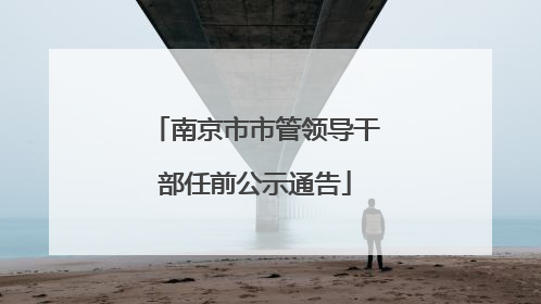 南京市市管领导干部任前公示通告