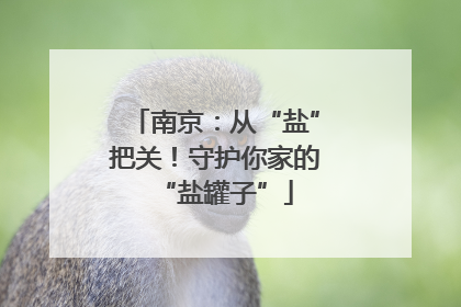 南京：从“盐”把关！守护你家的“盐罐子”