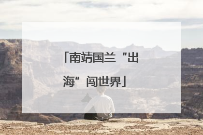 南靖国兰“出海”闯世界