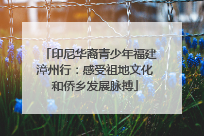 印尼华裔青少年福建漳州行：感受祖地文化和侨乡发展脉搏