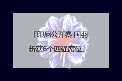 印尼公开赛 国羽斩获6个四强席位