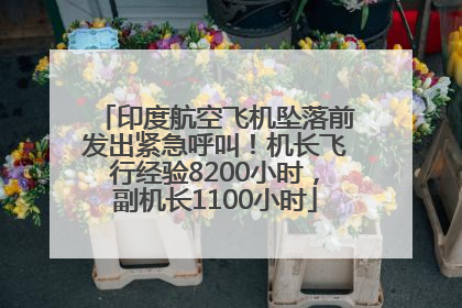 印度航空飞机坠落前发出紧急呼叫！机长飞行经验8200小时，副机长1100小时