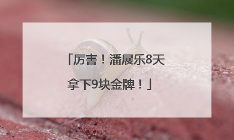 厉害！潘展乐8天拿下9块金牌！