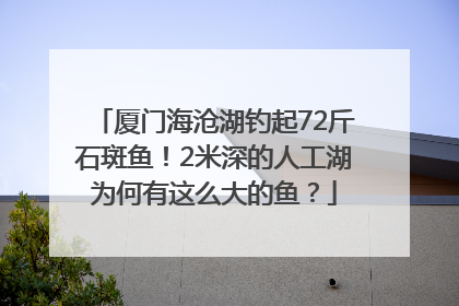 厦门海沧湖钓起72斤石斑鱼！2米深的人工湖为何有这么大的鱼？