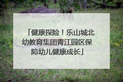 健康探险！乐山城北幼教育集团青江园区保障幼儿健康成长