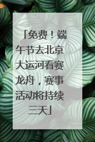 免费！端午节去北京大运河看赛龙舟，赛事活动将持续三天