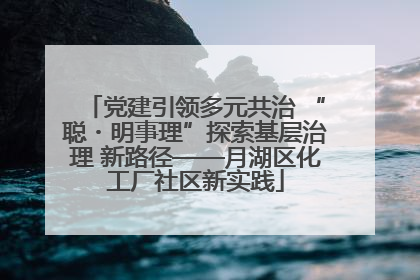 党建引领多元共治 “聪・明事理”探索基层治理 新路径——月湖区化工厂社区新实践