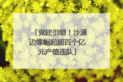 党建引领！沙漠边缘崛起超百个亿元产值连队