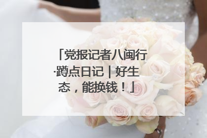 党报记者八闽行·蹲点日记｜好生态，能换钱！