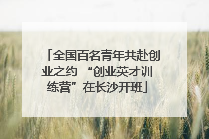 全国百名青年共赴创业之约 “创业英才训练营”在长沙开班
