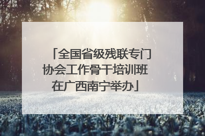 全国省级残联专门协会工作骨干培训班在广西南宁举办