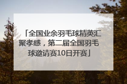 全国业余羽毛球精英汇聚孝感，第二届全国羽毛球邀请赛10日开赛