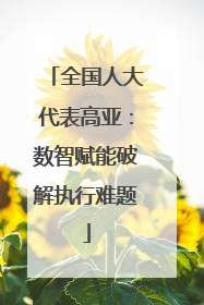 全国人大代表高亚：数智赋能破解执行难题