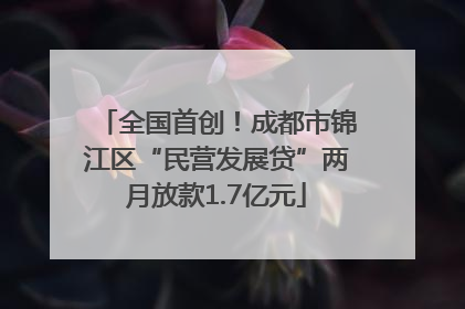 全国首创！成都市锦江区“民营发展贷”两月放款1.7亿元