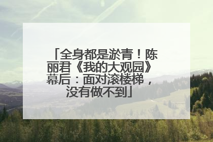 全身都是淤青！陈丽君《我的大观园》幕后：面对滚楼梯，没有做不到