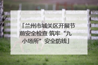 兰州市城关区开展节前安全检查 筑牢“九小场所”安全防线