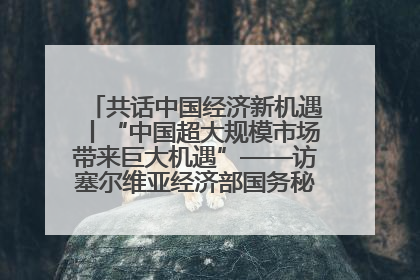 共话中国经济新机遇丨“中国超大规模市场带来巨大机遇”——访塞尔维亚经济部国务秘书尼科利奇