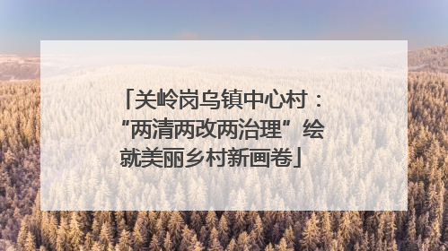 关岭岗乌镇中心村：“两清两改两治理”绘就美丽乡村新画卷