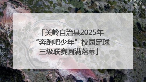 关岭自治县2025年“奔跑吧少年”校园足球三级联赛圆满落幕