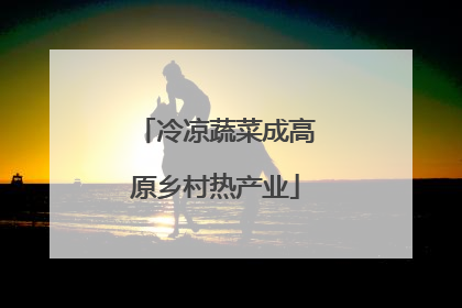 冷凉蔬菜成高原乡村热产业