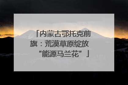内蒙古鄂托克前旗：荒漠草原绽放“能源马兰花”