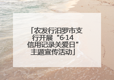 农发行汨罗市支行开展“6·14信用记录关爱日”主题宣传活动