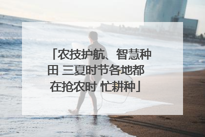 农技护航、智慧种田 三夏时节各地都在抢农时 忙耕种