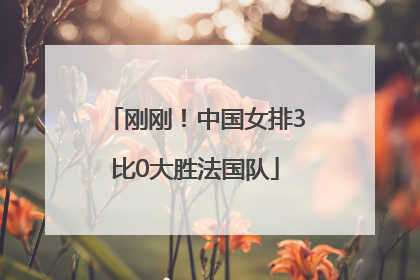 刚刚！中国女排3比0大胜法国队