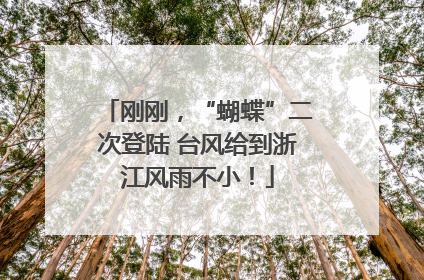 刚刚，“蝴蝶”二次登陆 台风给到浙江风雨不小！