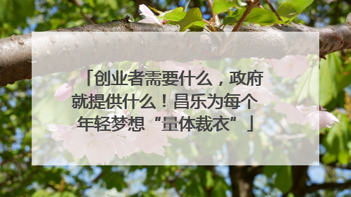 创业者需要什么，政府就提供什么！昌乐为每个年轻梦想“量体裁衣”