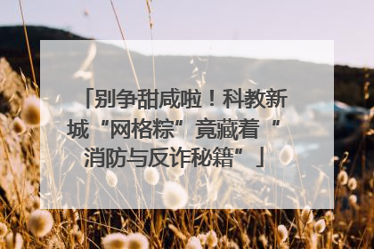 别争甜咸啦！科教新城“网格粽”竟藏着“消防与反诈秘籍”