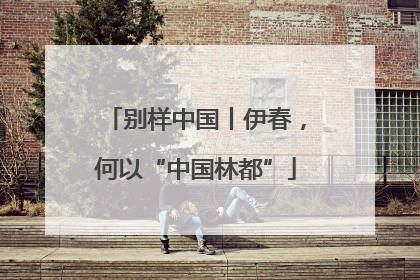 别样中国丨伊春，何以“中国林都”