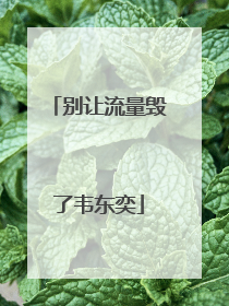 别让流量毁了韦东奕