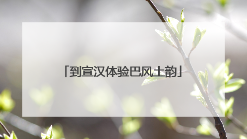 到宣汉体验巴风土韵