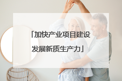 加快产业项目建设 发展新质生产力