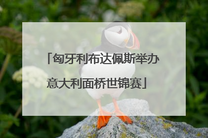 匈牙利布达佩斯举办意大利面桥世锦赛