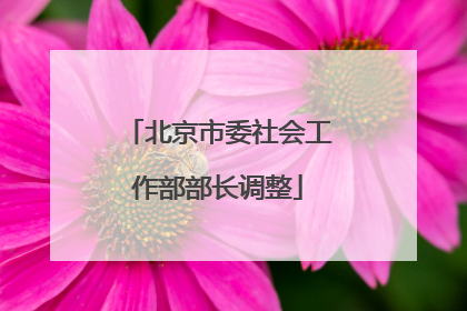 北京市委社会工作部部长调整