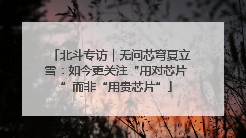 北斗专访｜无问芯穹夏立雪：如今更关注“用对芯片”而非“用贵芯片”