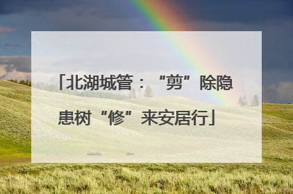 北湖城管：“剪”除隐患树“修”来安居行