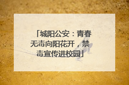 城阳公安：青春无毒向阳花开，禁毒宣传进校园