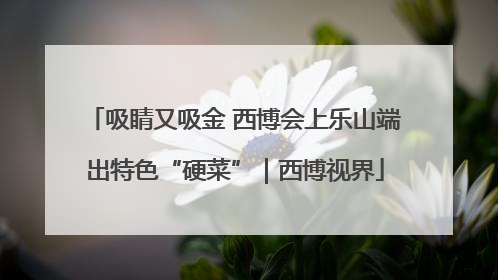 吸睛又吸金 西博会上乐山端出特色“硬菜”｜西博视界