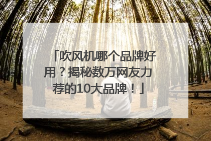 吹风机哪个品牌好用？揭秘数万网友力荐的10大品牌！